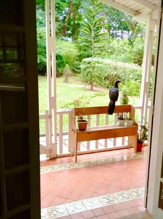 Outros à venda em Itaipava, Petrópolis - RJ - Foto 14