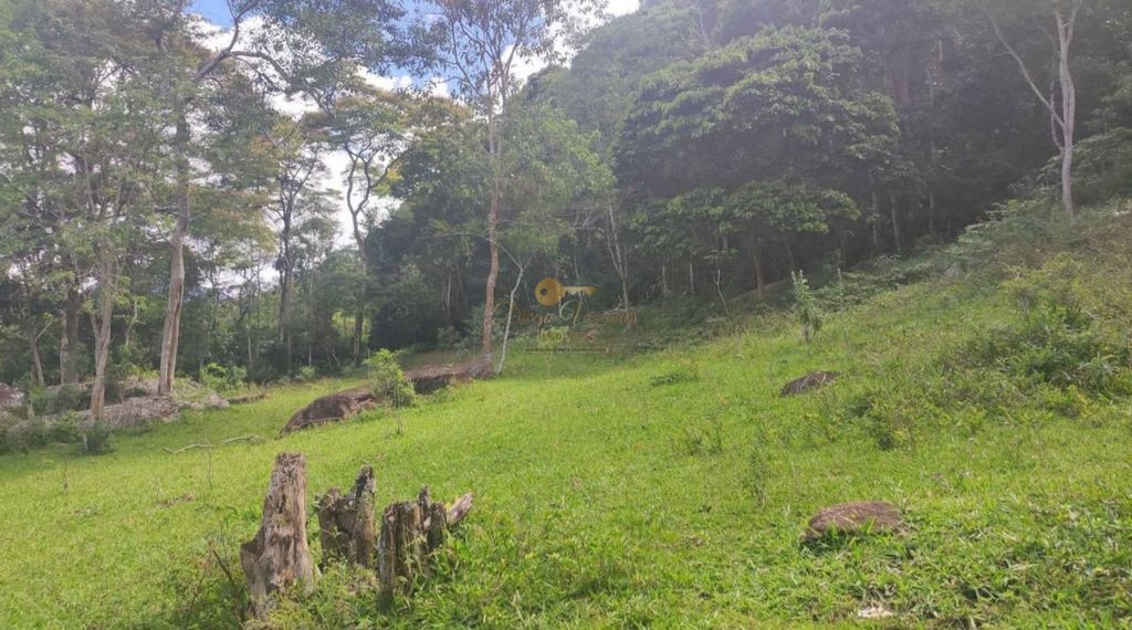 Terreno Residencial à venda em Colônia Alpina, Teresópolis - RJ - Foto 4