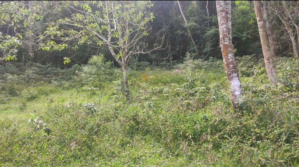 Terreno Residencial à venda em Colônia Alpina, Teresópolis - RJ - Foto 9
