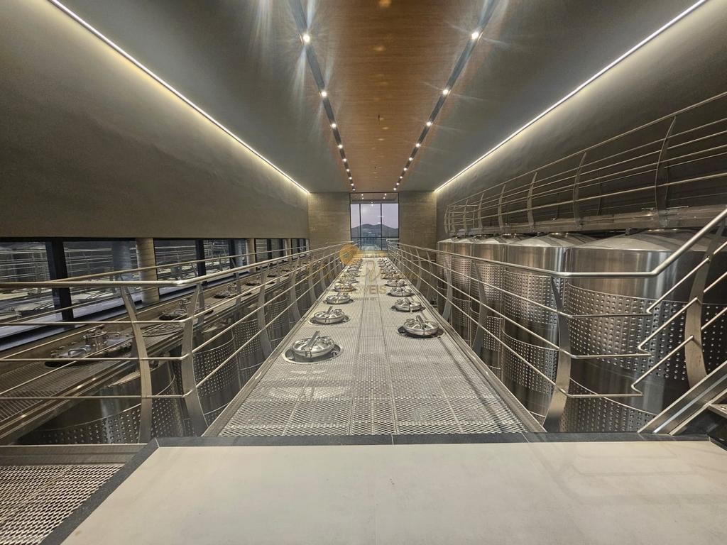 Terreno Residencial à venda em Venda Nova, Teresópolis - RJ - Foto 7