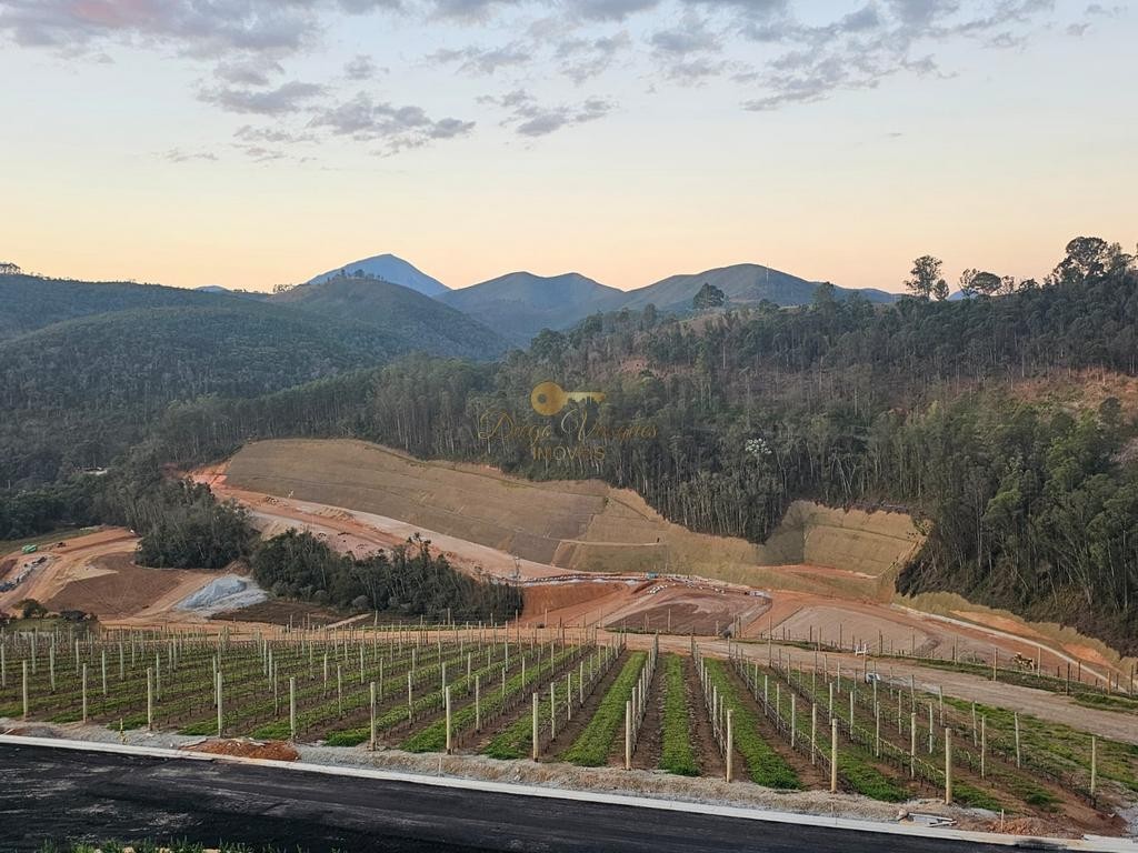 Terreno Residencial à venda em Venda Nova, Teresópolis - RJ - Foto 3
