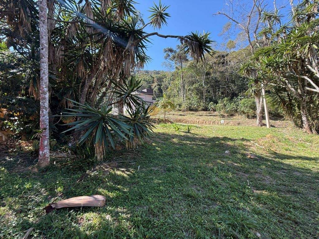 Terreno Residencial à venda em Prata, Teresópolis - RJ - Foto 24