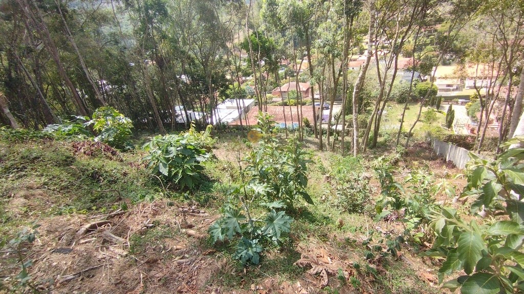 Terreno Residencial à venda em Green Valley, Teresópolis - RJ - Foto 4