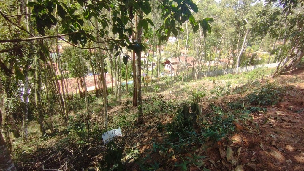 Terreno Residencial à venda em Green Valley, Teresópolis - RJ - Foto 9