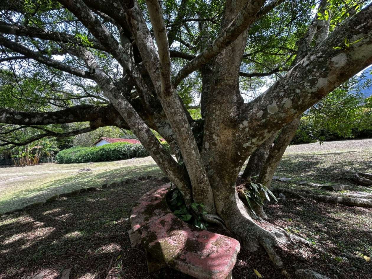 Casa à venda em Araras, Petrópolis - RJ - Foto 40