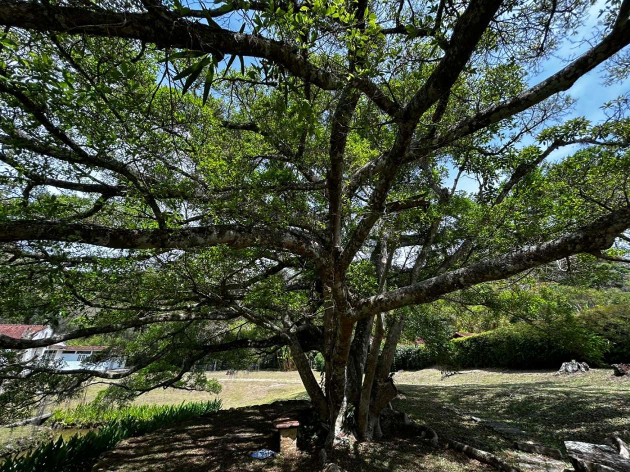 Casa à venda em Araras, Petrópolis - RJ - Foto 38
