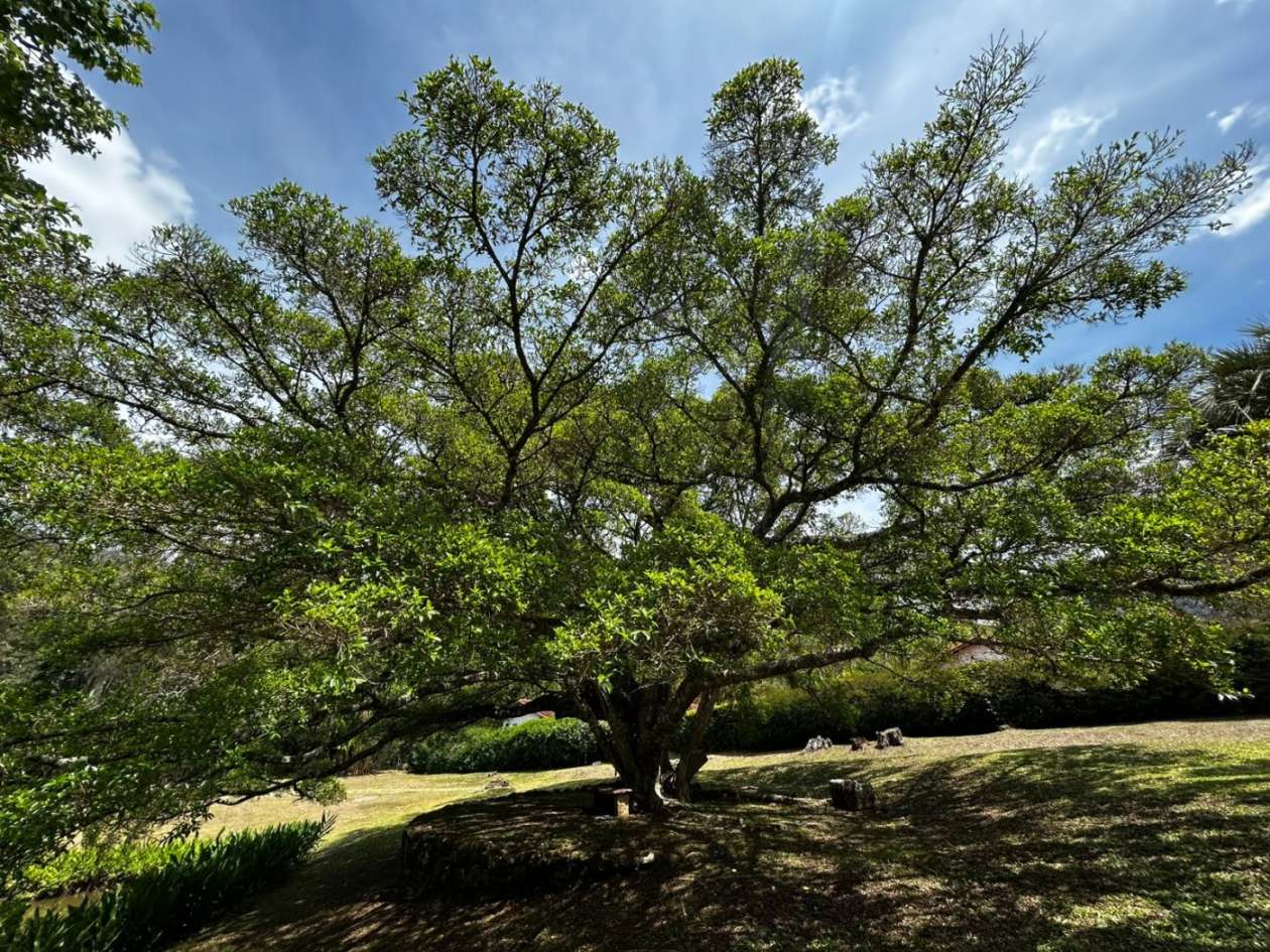 Casa à venda em Araras, Petrópolis - RJ - Foto 44