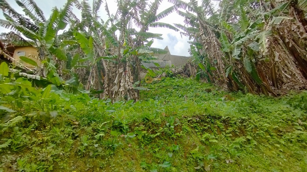 Terreno Residencial à venda em Parque do Ingá, Teresópolis - RJ - Foto 9