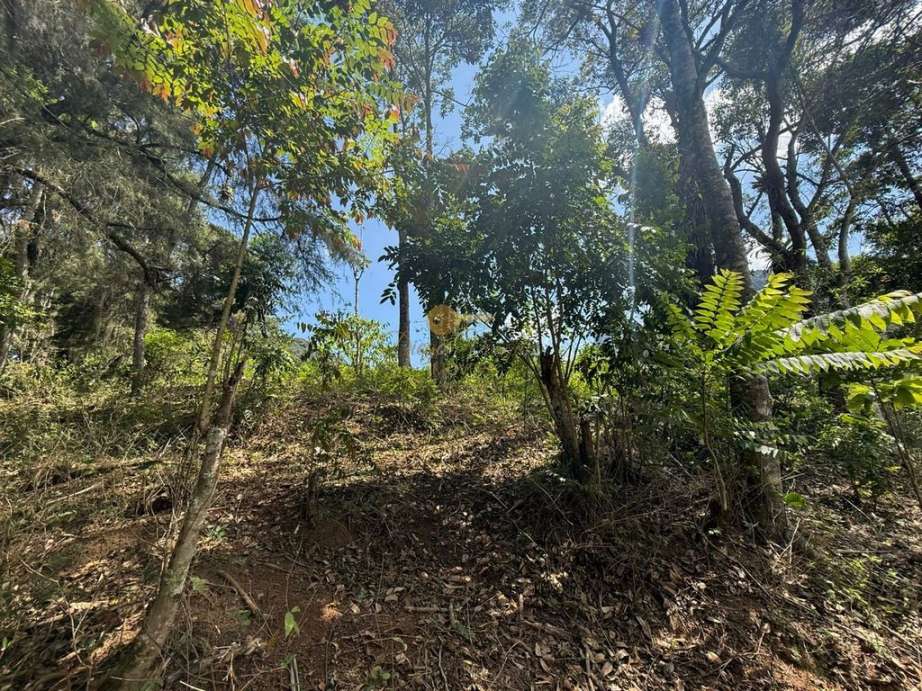 Terreno Residencial à venda em Granja Guarani, Teresópolis - RJ - Foto 2