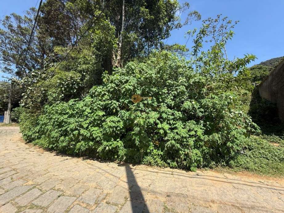 Terreno Residencial à venda em Granja Guarani, Teresópolis - RJ - Foto 13