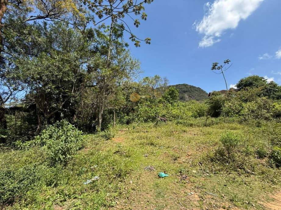 Terreno Residencial à venda em Granja Guarani, Teresópolis - RJ - Foto 3