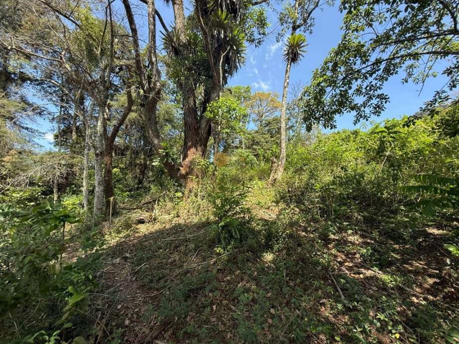 Terreno Residencial à venda em Granja Guarani, Teresópolis - RJ - Foto 4