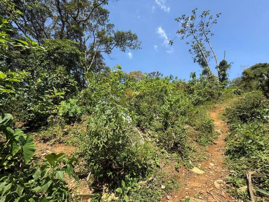 Terreno Residencial à venda em Granja Guarani, Teresópolis - RJ - Foto 5