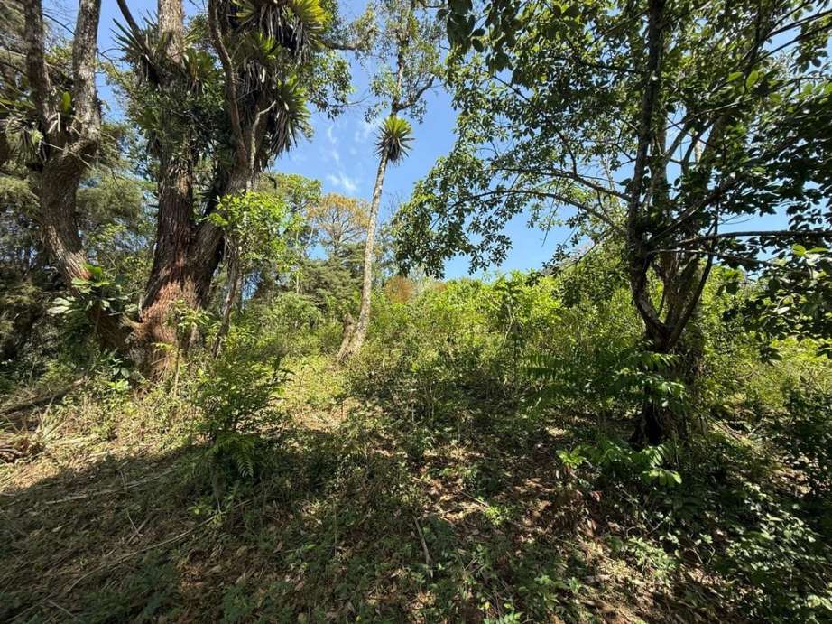 Terreno Residencial à venda em Granja Guarani, Teresópolis - RJ - Foto 7
