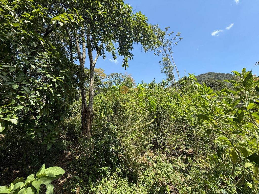 Terreno Residencial à venda em Granja Guarani, Teresópolis - RJ - Foto 10
