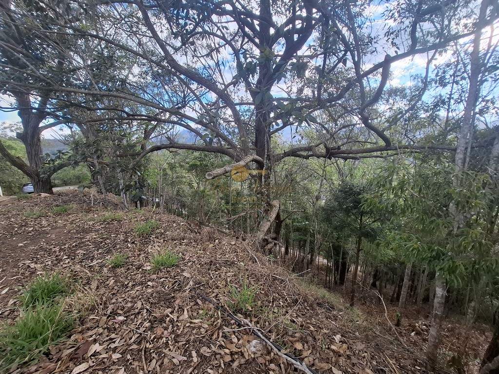 Terreno Residencial à venda em Cascata do Imbuí, Teresópolis - RJ - Foto 3