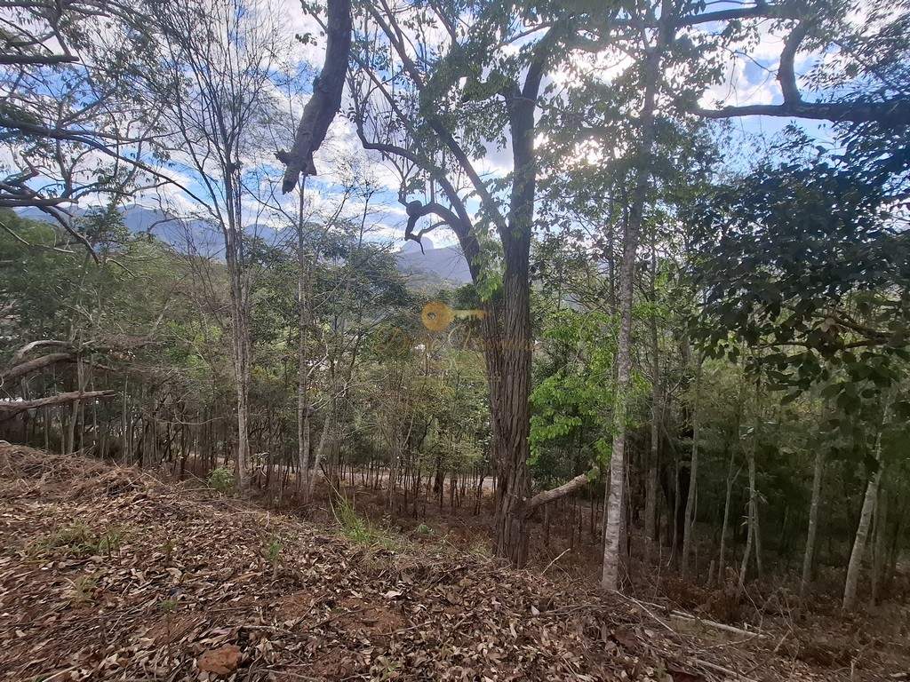 Terreno Residencial à venda em Cascata do Imbuí, Teresópolis - RJ - Foto 6