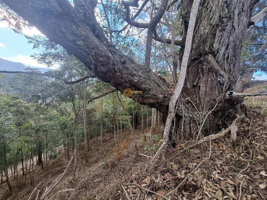 Terreno Residencial à venda em Cascata do Imbuí, Teresópolis - RJ - Foto 8