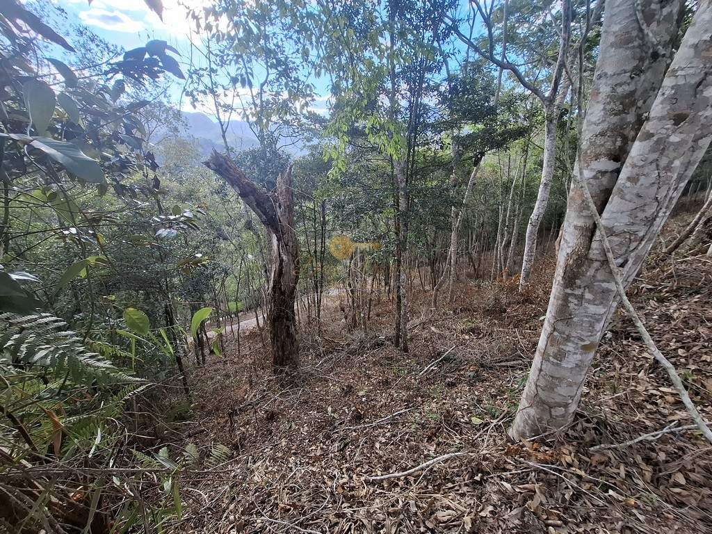 Terreno Residencial à venda em Cascata do Imbuí, Teresópolis - RJ - Foto 12