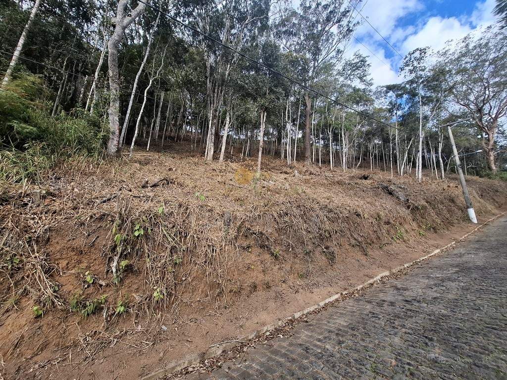 Terreno Residencial à venda em Cascata do Imbuí, Teresópolis - RJ - Foto 15