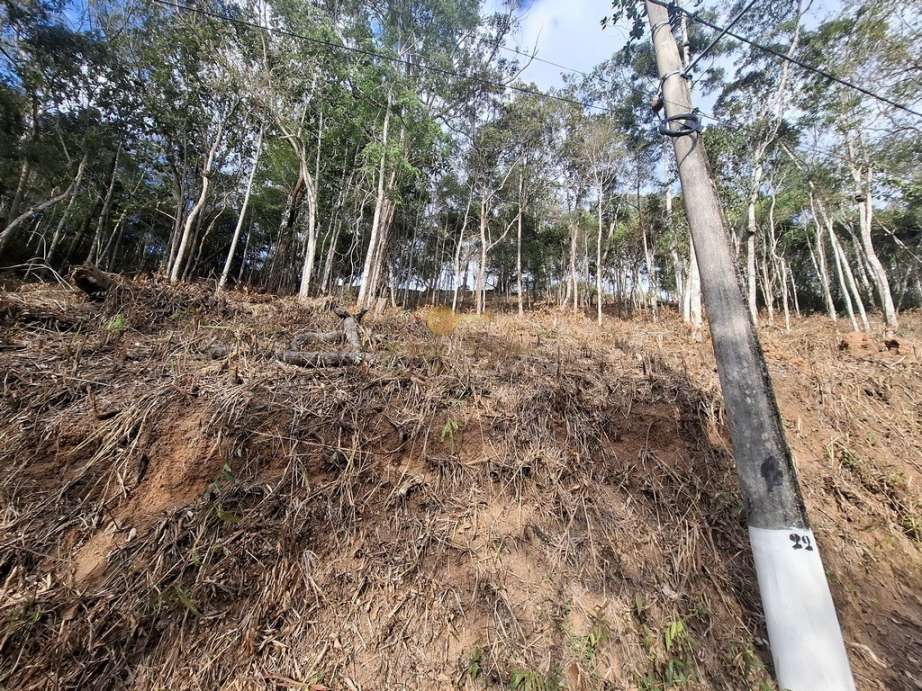 Terreno Residencial à venda em Cascata do Imbuí, Teresópolis - RJ - Foto 17