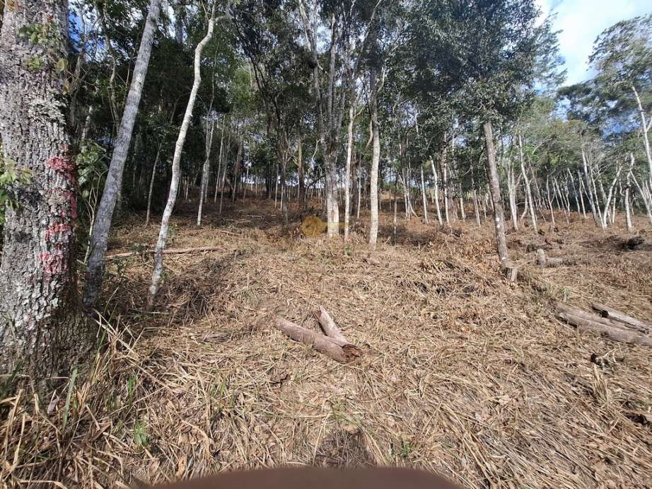Terreno Residencial à venda em Cascata do Imbuí, Teresópolis - RJ - Foto 20