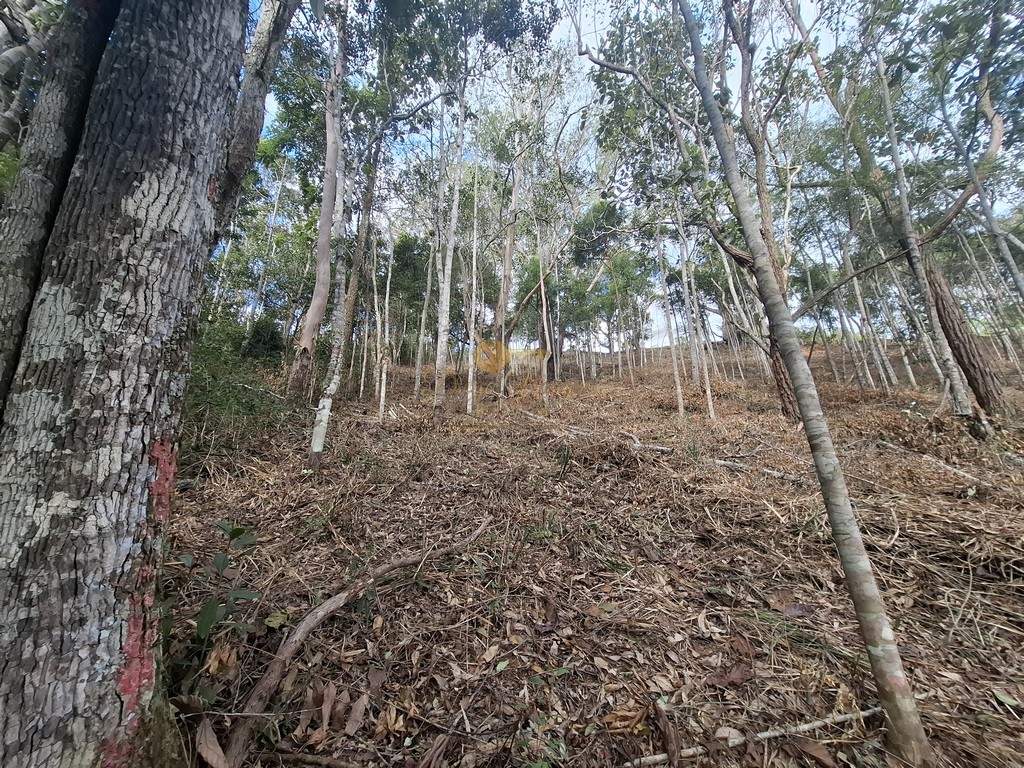 Terreno Residencial à venda em Cascata do Imbuí, Teresópolis - RJ - Foto 21