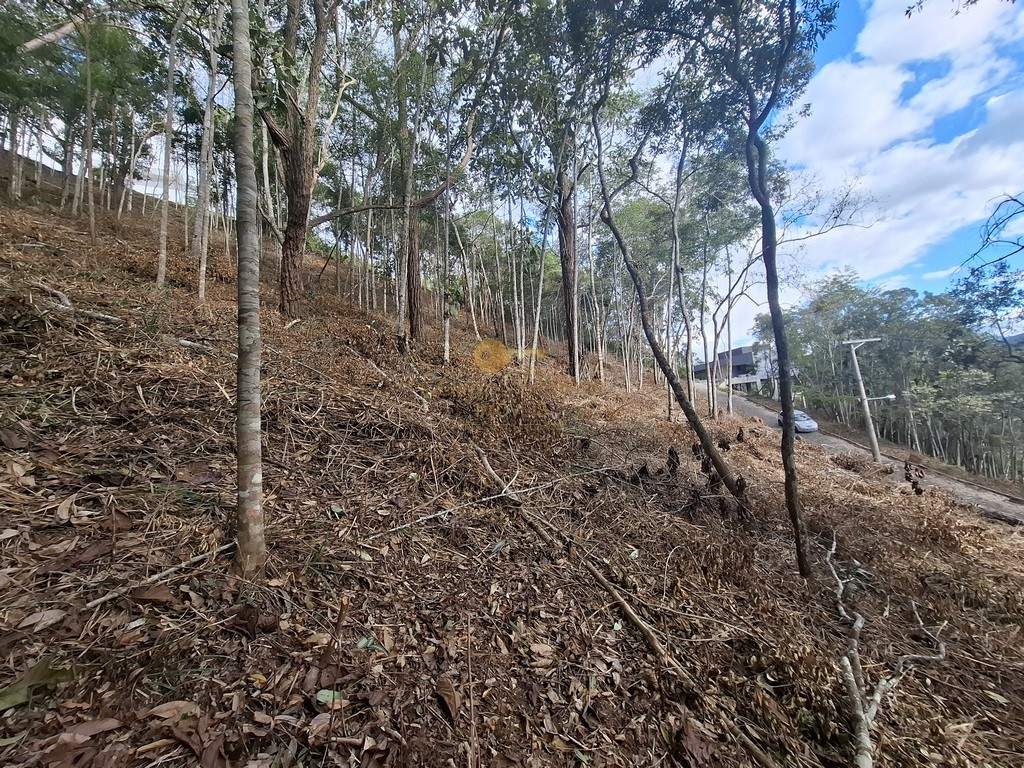 Terreno Residencial à venda em Cascata do Imbuí, Teresópolis - RJ - Foto 22