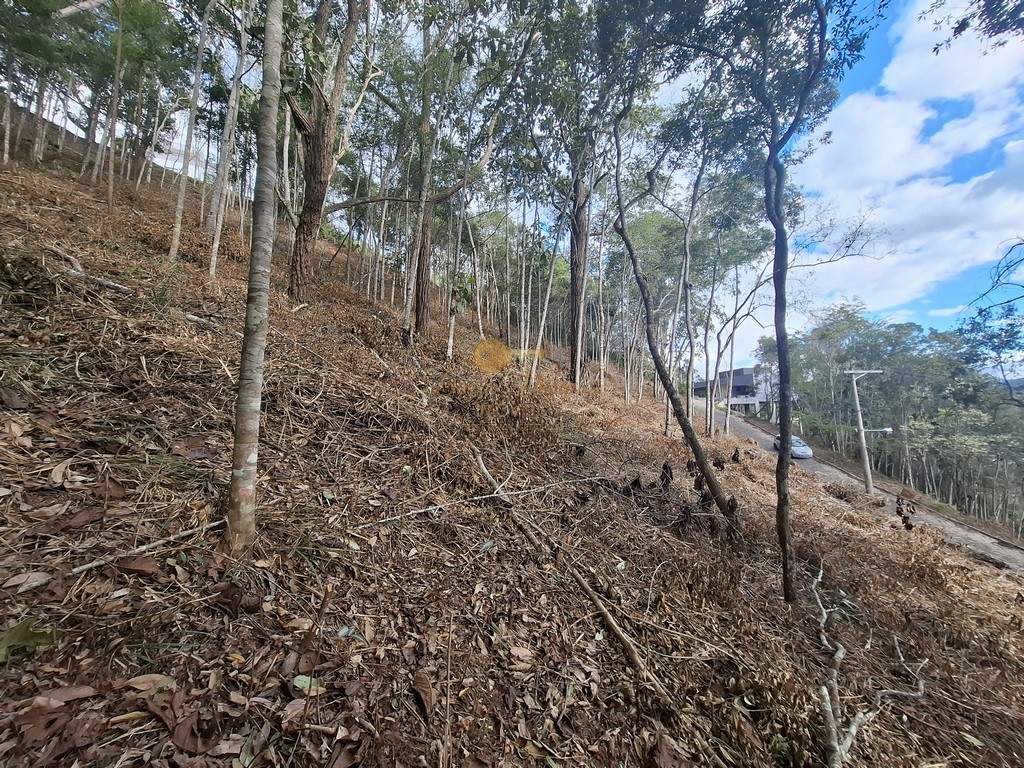 Terreno Residencial à venda em Cascata do Imbuí, Teresópolis - RJ - Foto 23