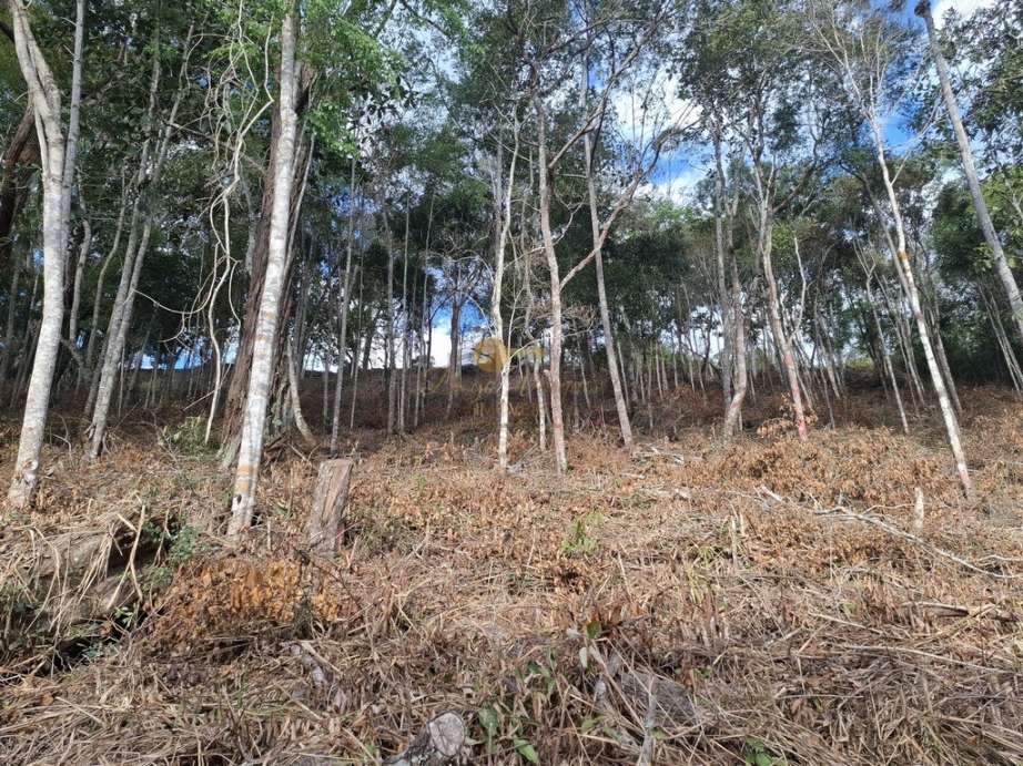Terreno Residencial à venda em Cascata do Imbuí, Teresópolis - RJ - Foto 24