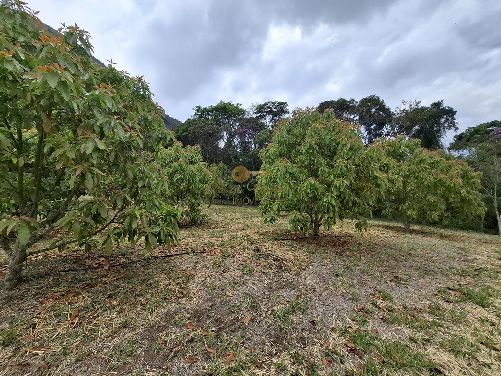 Outros à venda em Santa Rita, Teresópolis - RJ - Foto 5