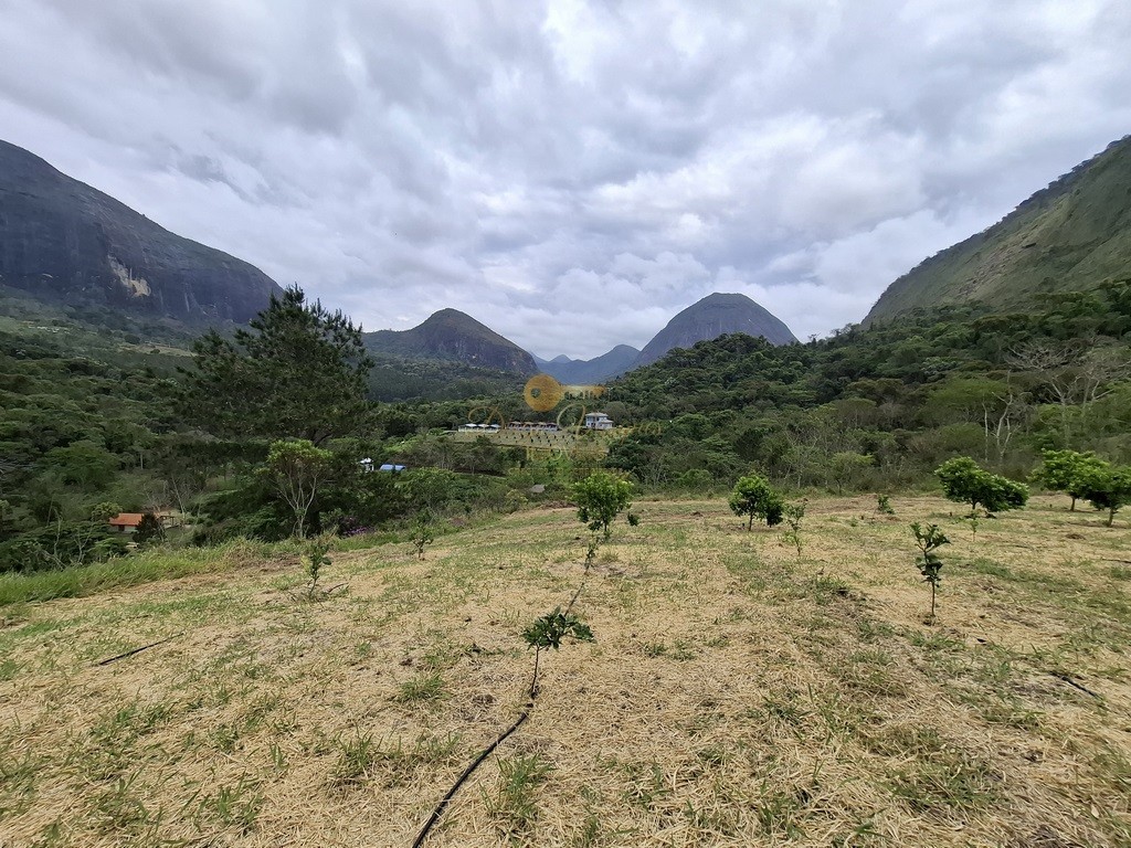 Outros à venda em Santa Rita, Teresópolis - RJ - Foto 6