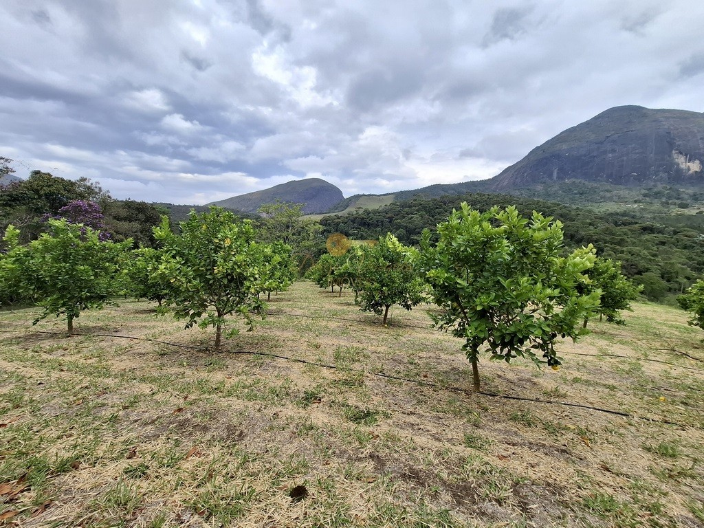Outros à venda em Santa Rita, Teresópolis - RJ - Foto 9