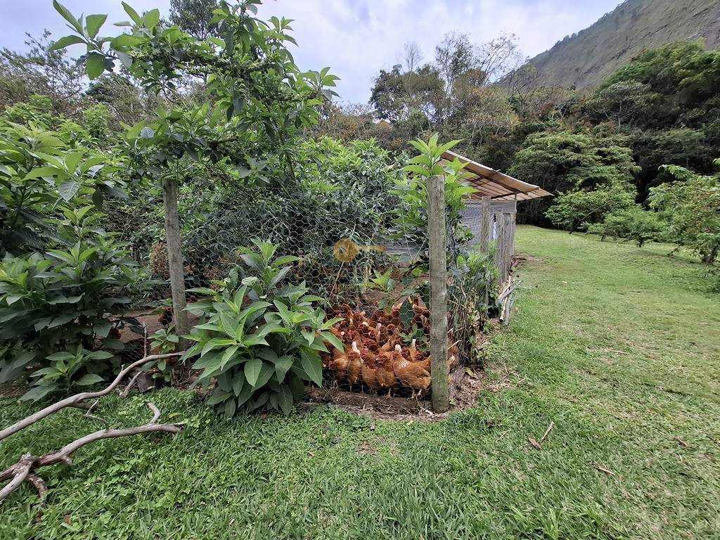 Outros à venda em Santa Rita, Teresópolis - RJ - Foto 13