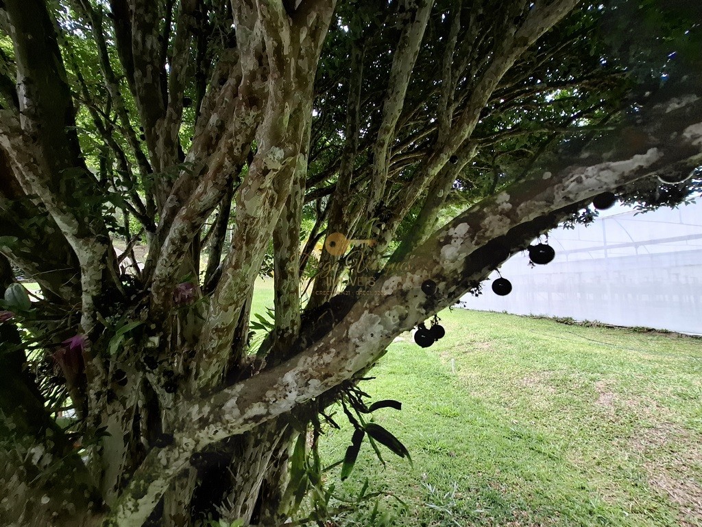Outros à venda em Santa Rita, Teresópolis - RJ - Foto 20