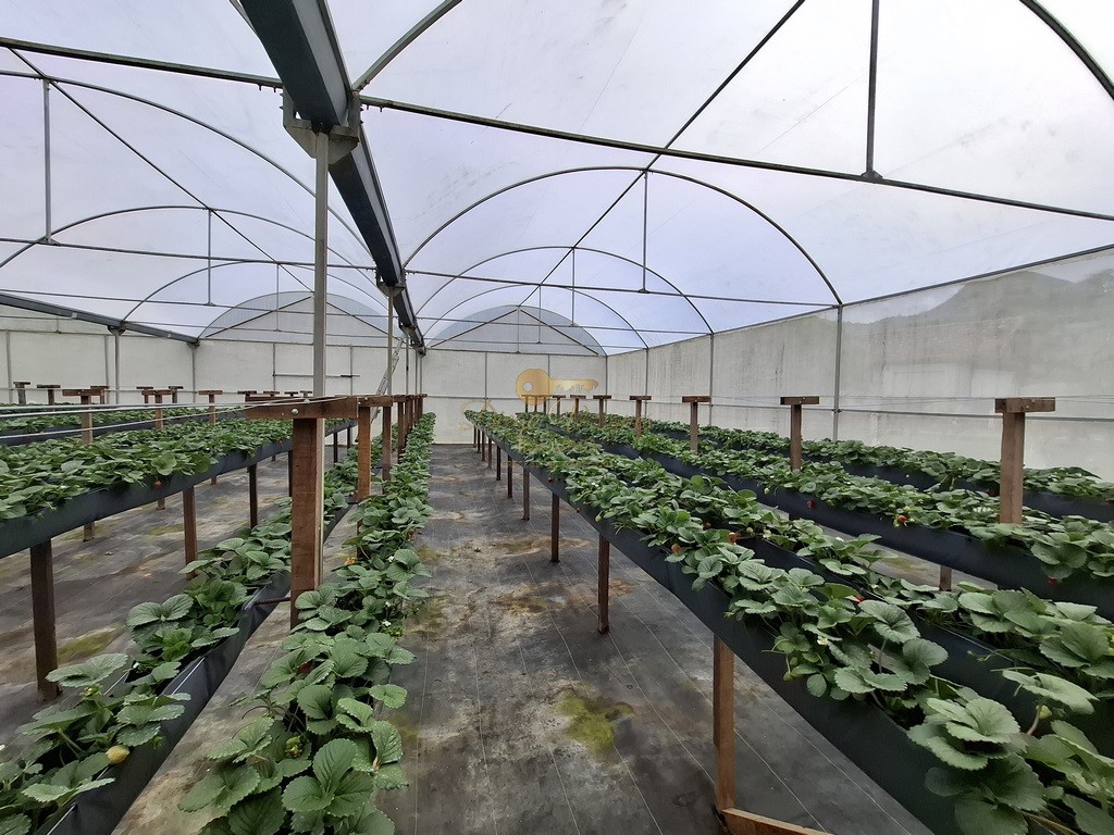 Outros à venda em Santa Rita, Teresópolis - RJ - Foto 23