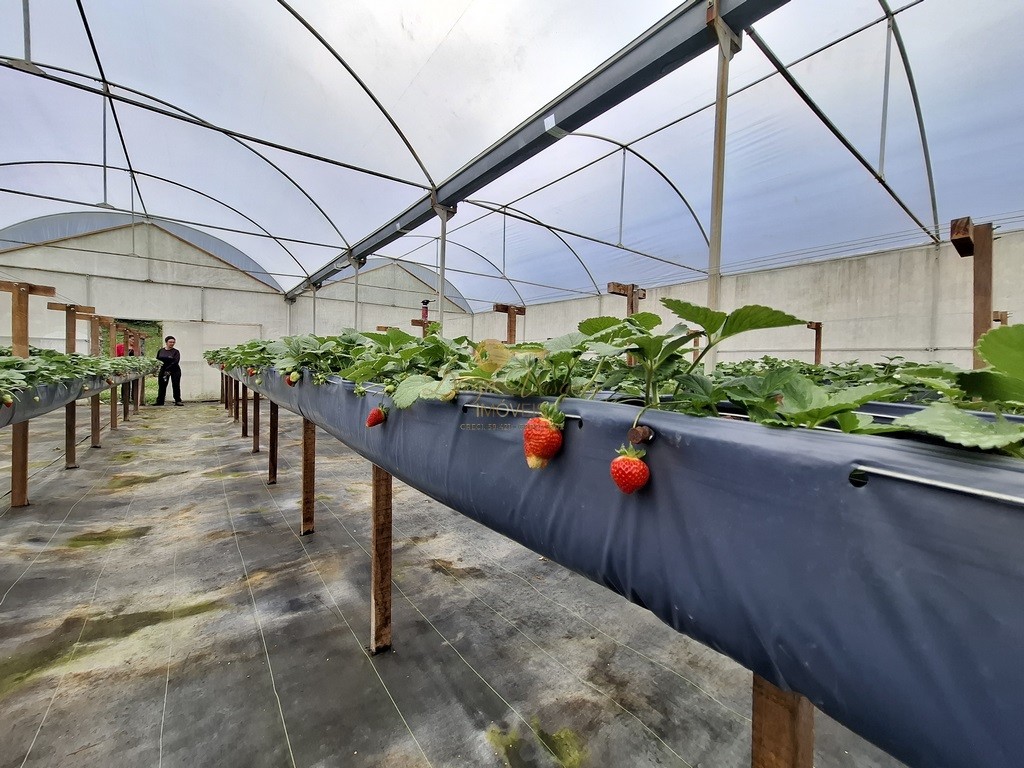Outros à venda em Santa Rita, Teresópolis - RJ - Foto 24