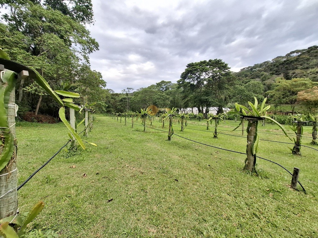 Outros à venda em Santa Rita, Teresópolis - RJ - Foto 26