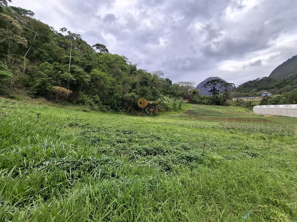 Outros à venda em Santa Rita, Teresópolis - RJ - Foto 31