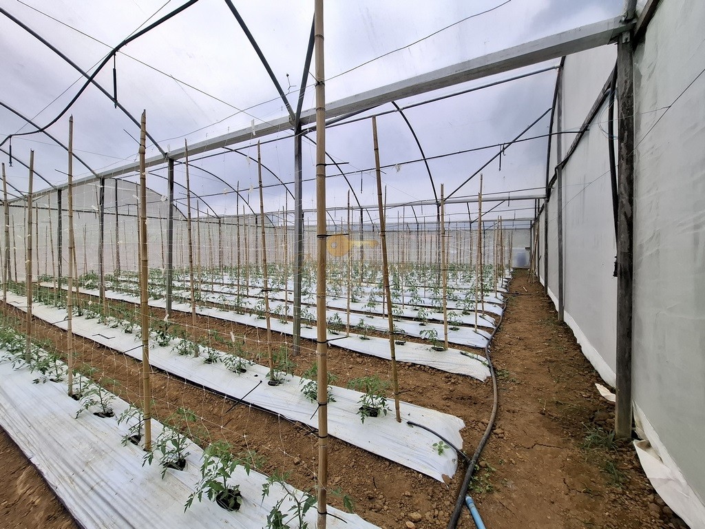 Outros à venda em Santa Rita, Teresópolis - RJ - Foto 32