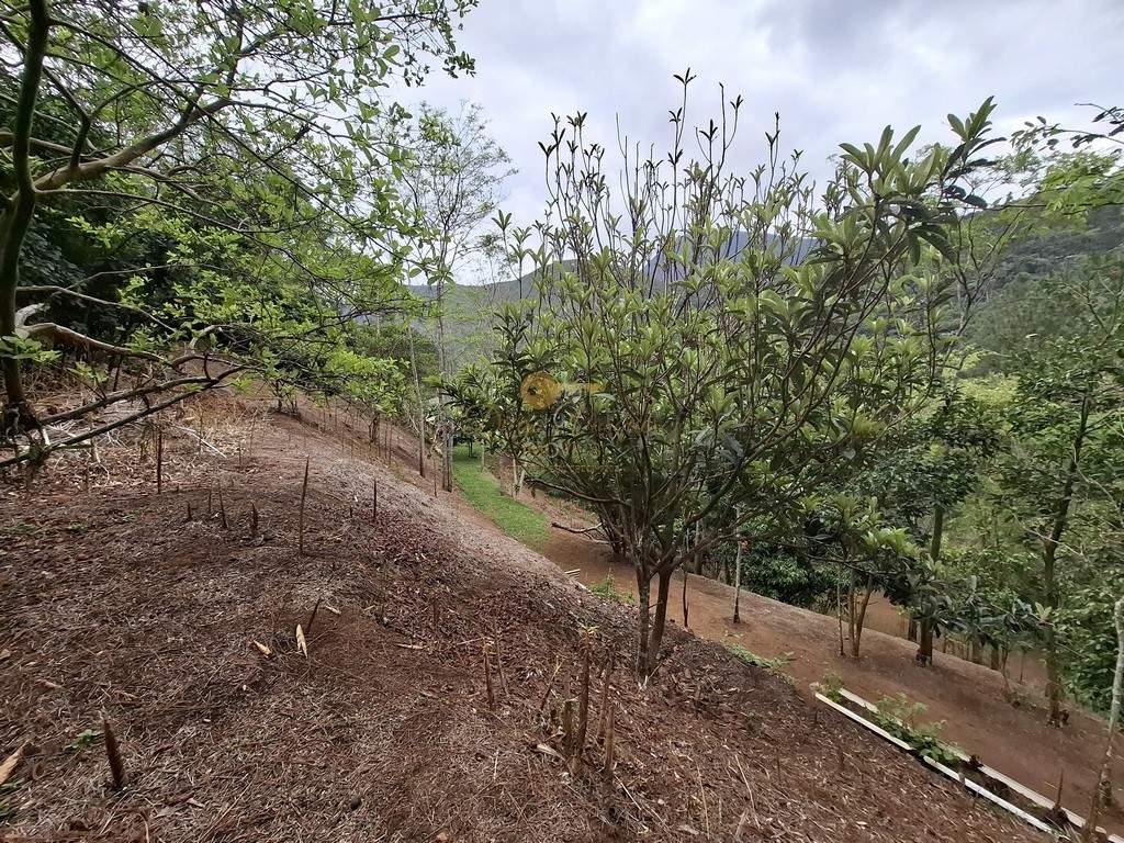 Casa à venda em Fazenda Alpina, Teresópolis - RJ - Foto 41