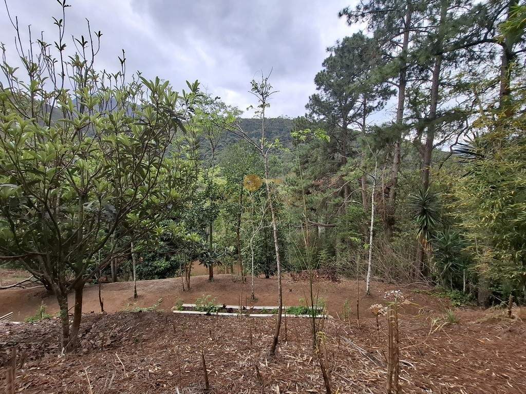 Casa à venda em Fazenda Alpina, Teresópolis - RJ - Foto 42