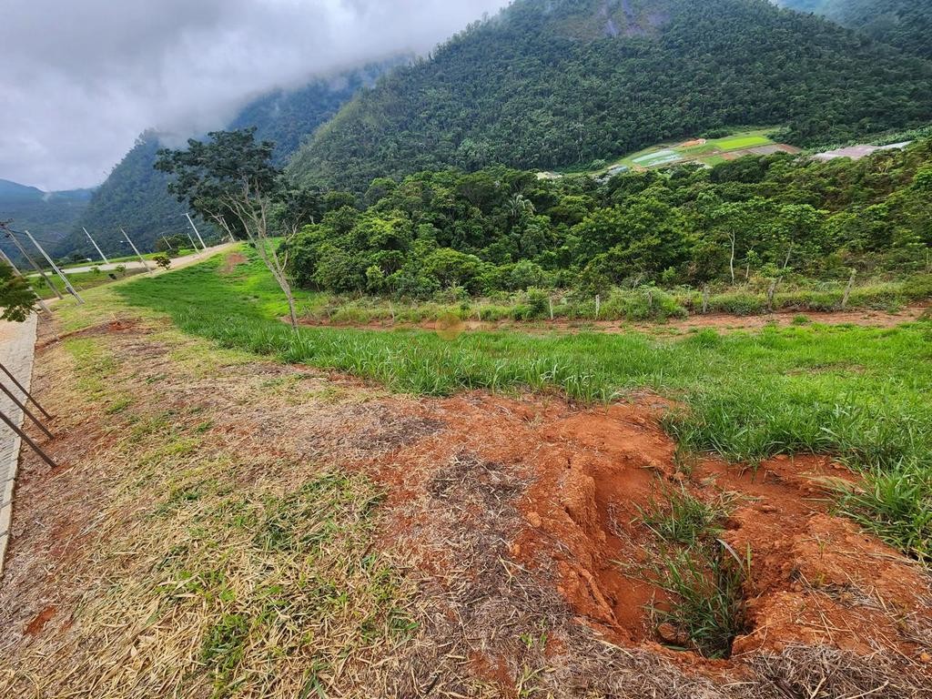 Terreno Residencial à venda em Vale Alpino, Teresópolis - RJ - Foto 15