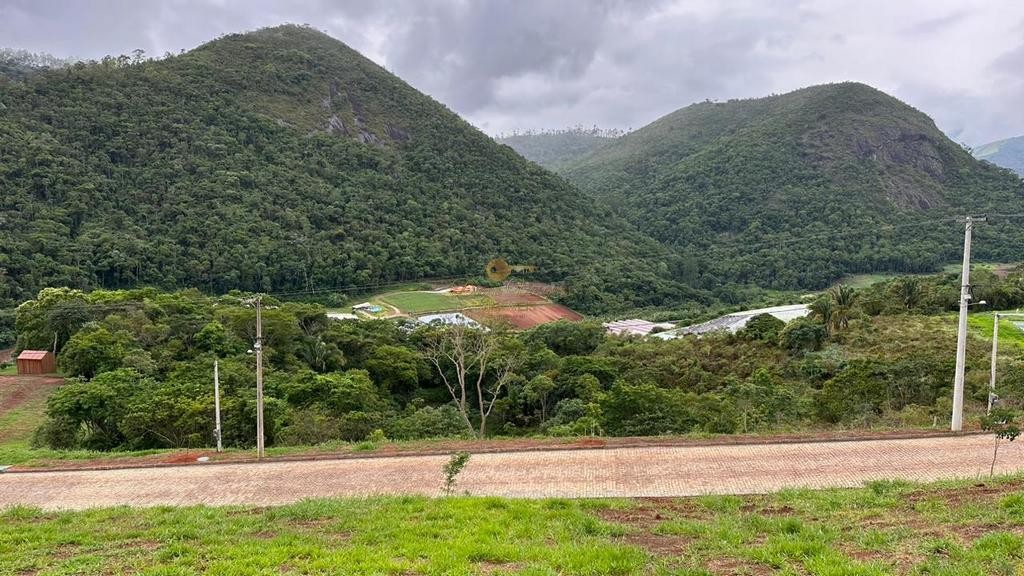 Terreno Residencial à venda em Vale Alpino, Teresópolis - RJ - Foto 19