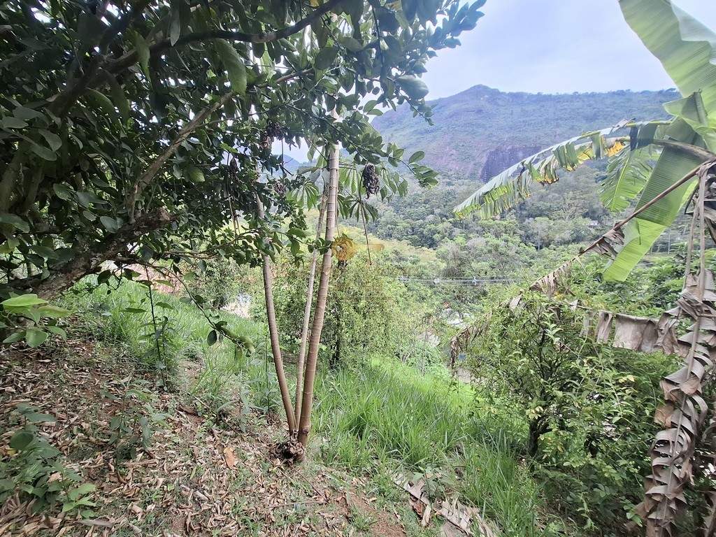 Casa à venda em Posse, Teresópolis - RJ - Foto 32