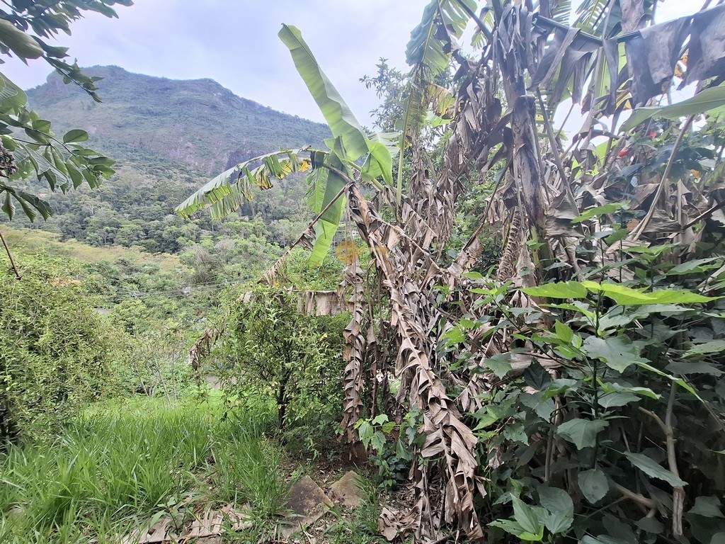 Casa à venda em Posse, Teresópolis - RJ - Foto 33