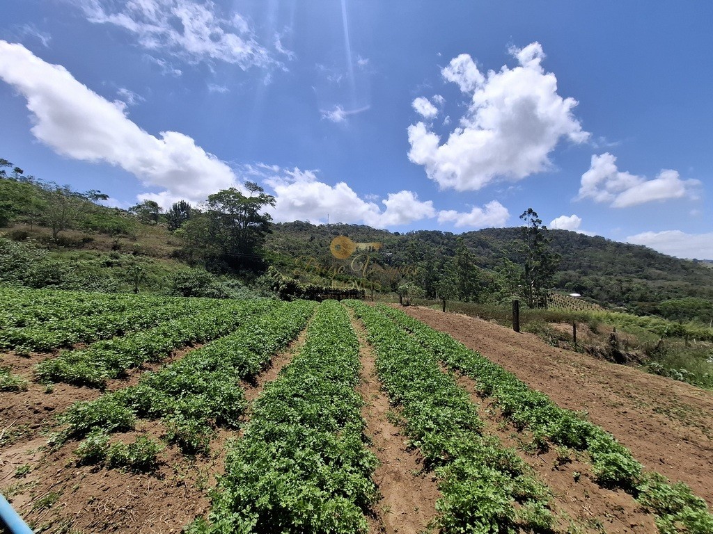 Terreno Residencial à venda em Parque Boa União, Teresópolis - RJ - Foto 4