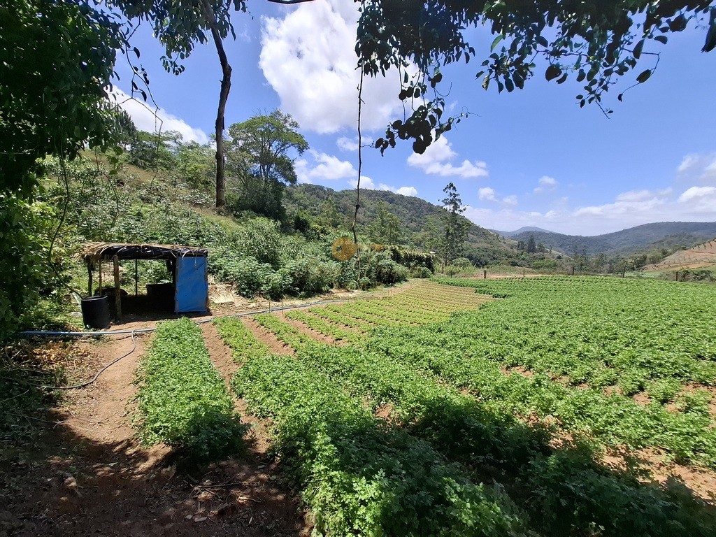 Terreno Residencial à venda em Parque Boa União, Teresópolis - RJ - Foto 8
