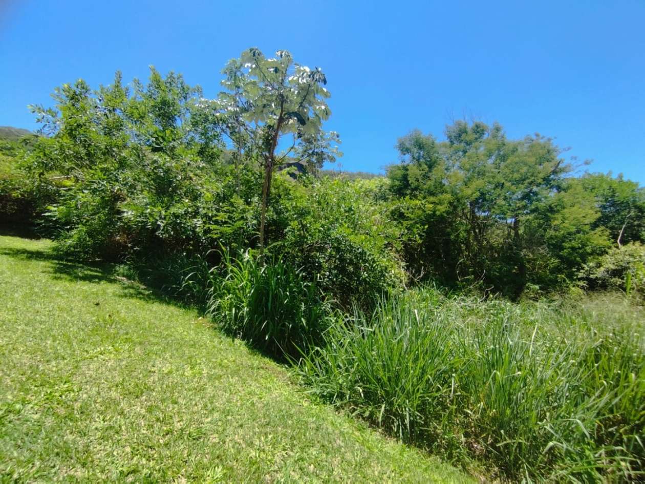 Terreno Residencial à venda em Agriões, Areal - RJ - Foto 3