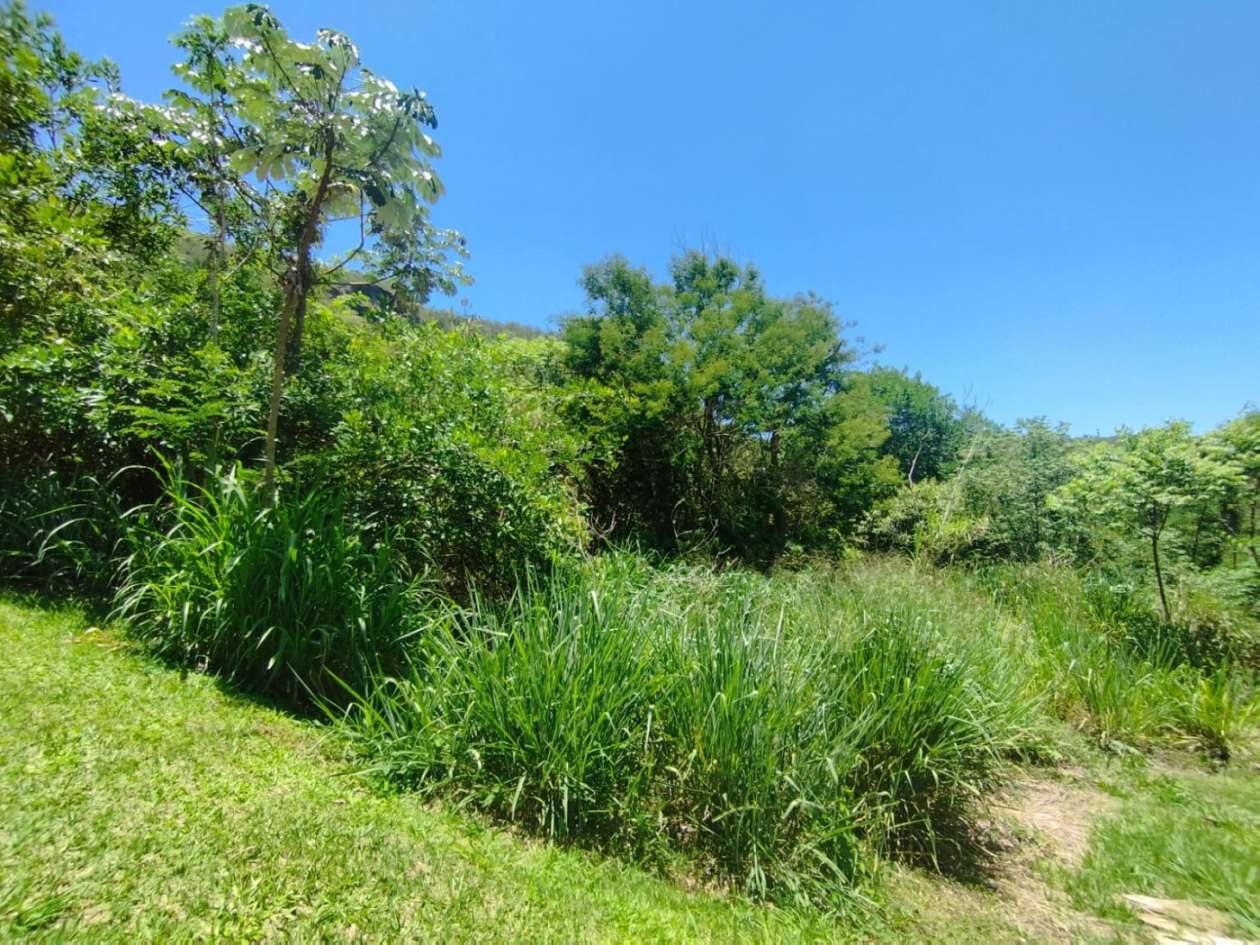 Terreno Residencial à venda em Agriões, Areal - RJ - Foto 4